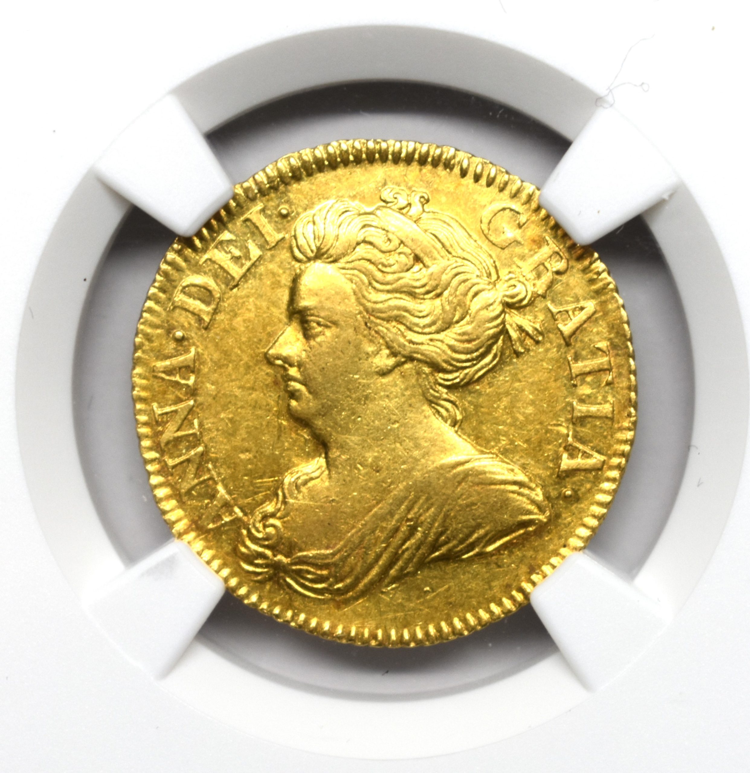 Sold】1713/1年 アン女王 ハーフギニー金貨 MS61 NGC | ソブリン 
